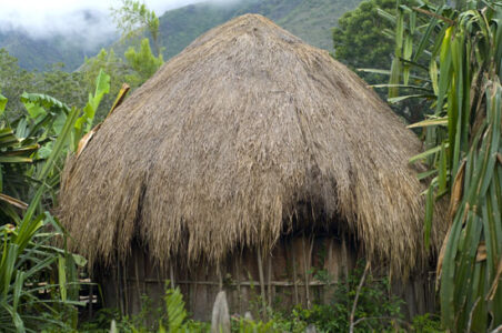 A Grass Hut Built for Temporary Shelter Image